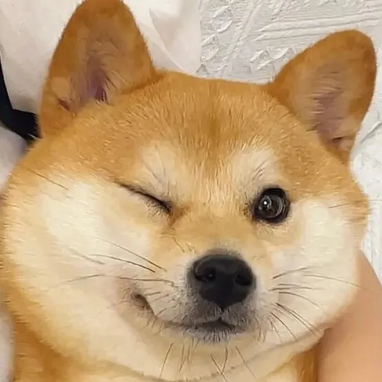 放张微信头像……